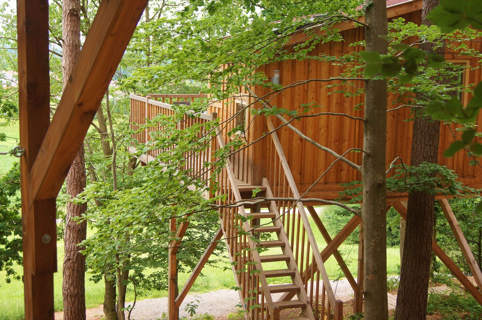 Elegantes Baumhaushotel Baden Wurttemberg Bilder