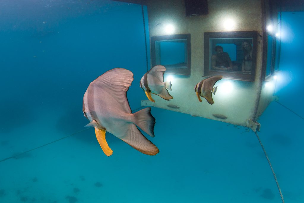 manta resort unterwasser zimmer
