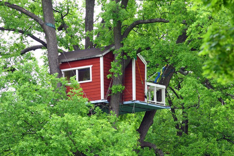 Trdhuset Hotell Hackspett r belget i Vasaparkens sttligaste ek i centrala Vsters, 13 meter upp och erbjuder en annorlunda bo-upplevelse.