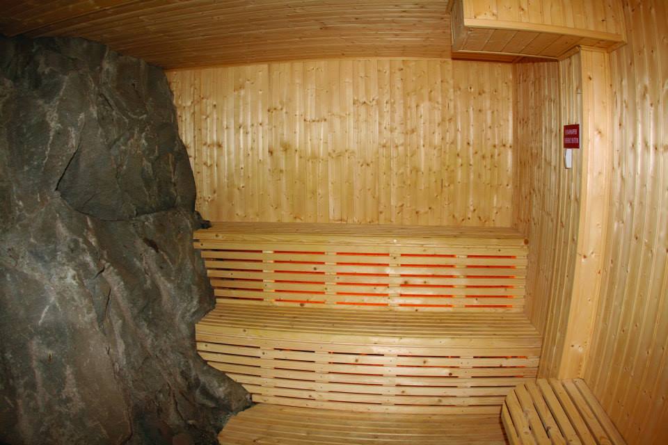 Viking Hotel Sauna
