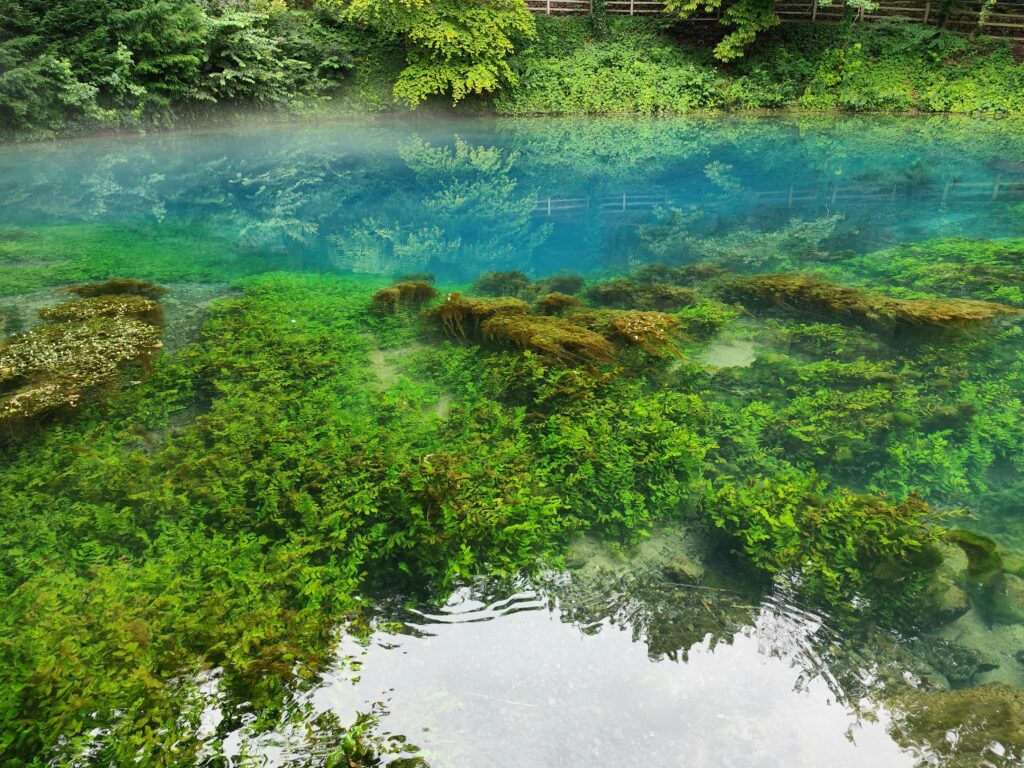 Top 10 Außergewöhnliche Kurztrips mit Kindern in Deutschland 🌟 4 Blautopf Baden-Württemberg Kurztrips mit Kindern in Deutschland